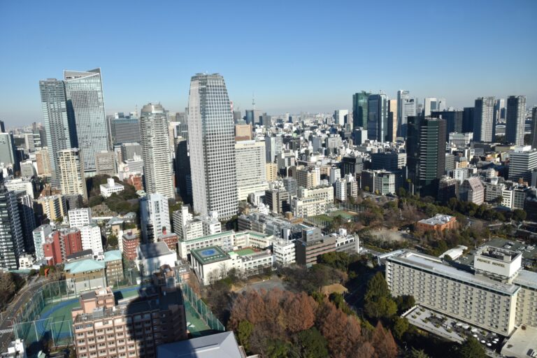 大都市